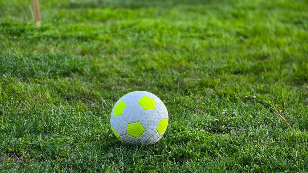 Betting on Sports Using Online Bookmakers